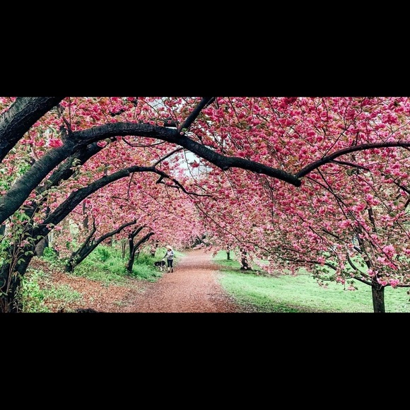 Meet your Posher, Lisa - Picture 1 of 1